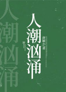 人潮汹涌by唐颖小 周稚京陈宗辞小说全本
