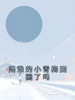《陆淮的小青梅回国了吗》小说章节列表免费阅读 乔薰陆淮小说全文