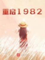 《重启1982》全文免费章节在线试读 段云段芳小说